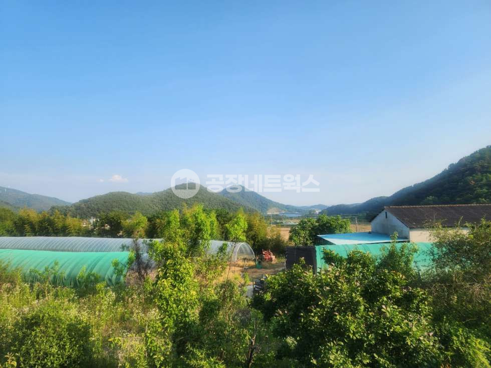대구 달성군 유가읍 가태리 대구 달성군 유가 달창지 개발 카페 부지 매매! 전원주택·주말농장 추천 입지 매매 매물번호 11084 사진 1