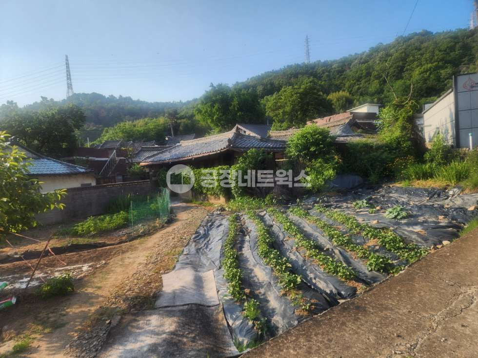 대구 달성군 유가읍 가태리 대구 달성 유가 도시형 주말주택매매 또는 세컨하우스 텃밭 딸린 개발지 인접 토지 매매 가치 상승형 투자 매물 매매 매물번호 11082 사진 11