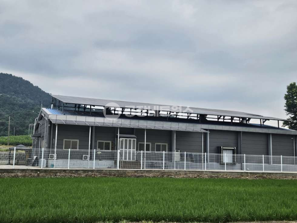 충남 논산시 노성면 교촌리 주건축물제1동 충남 공장 급매매 해썹 식품제조공장 냉장·냉동설비 포함 태양광수익까지 완비! 매매 매물번호 11133 사진 1