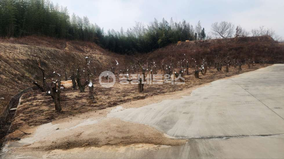 경북 김천시 감천면 광기리 가,나,다,라,마,바,사동 전국 기업 주목 경북 김천 대형 야적장 보유 농수산물 가공·저온창고 매매 매매 매물번호 11397 사진 12