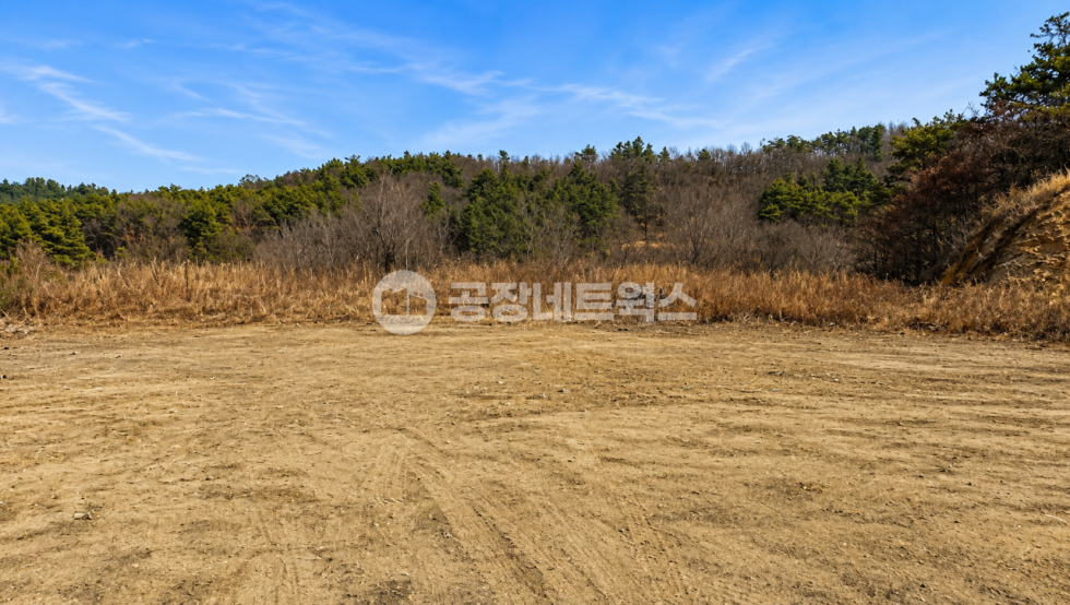 경북 영천시 금호읍 구암리 대구인근 경북 경부고속도로인근 토목공사완료된 초급매 물건 공장부지 개발용지 급매각건 매매 매물번호 11765 사진 1