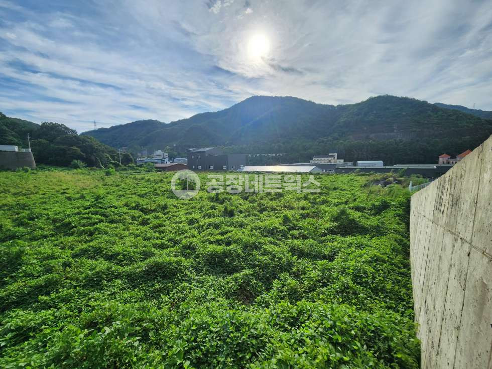경기 남양주시 와부읍 월문리 서울 동부권 대형 개발부지 매매｜남양주 10,649.77㎡ (3,221) 공장·창고·물류 사업부지(1000 분할가능)) 매매 매물번호 11846 사진 1
