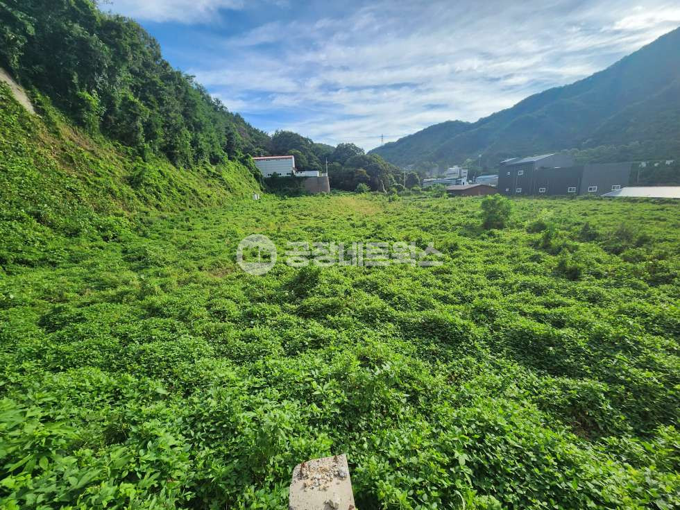 경기 남양주시 와부읍 월문리 서울 동부권 대형 개발부지 매매｜남양주 10,649.77㎡ (3,221) 공장·창고·물류 사업부지(1000 분할가능)) 매매 매물번호 11846 사진 2