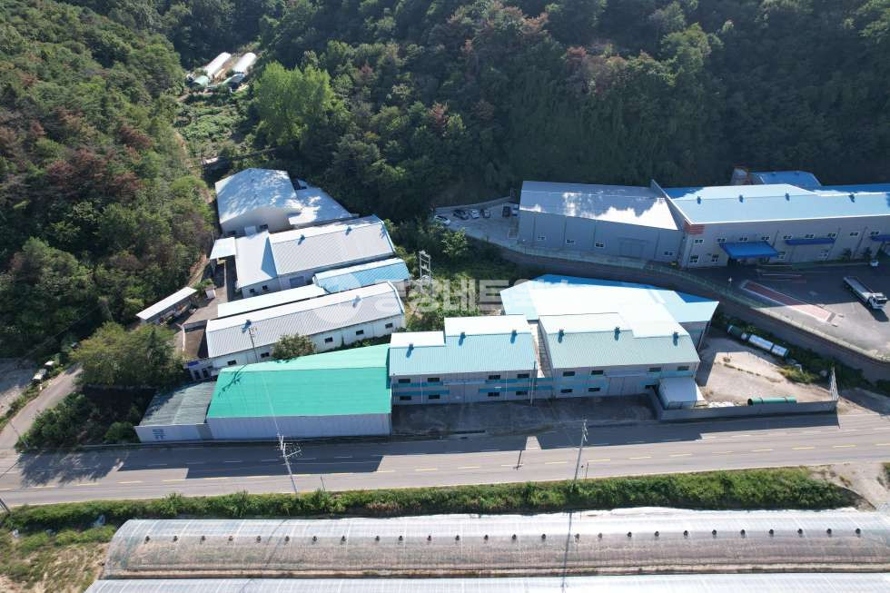 경북 성주군 용암면 용정리 주1,부1,부1동 급매 조정가능 명도가능 현재가공업체 남성주 IC진입원할, 전면 넓은공장, 대형츄레라회차가능 매매 매물번호 11948 사진 1