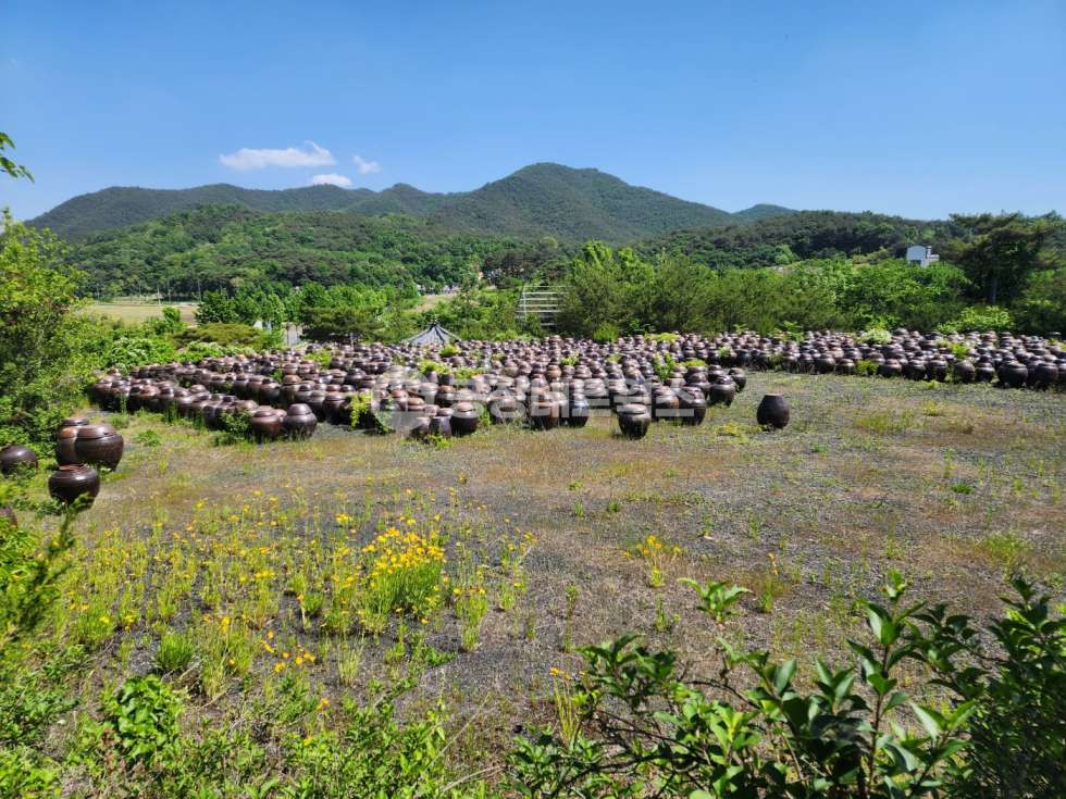 경북 안동시 풍천면 하회리 안동 하회마을 장독대가 유명한 시그니처 뷰 된장공장 매매건 매매 매물번호 10363 사진 16