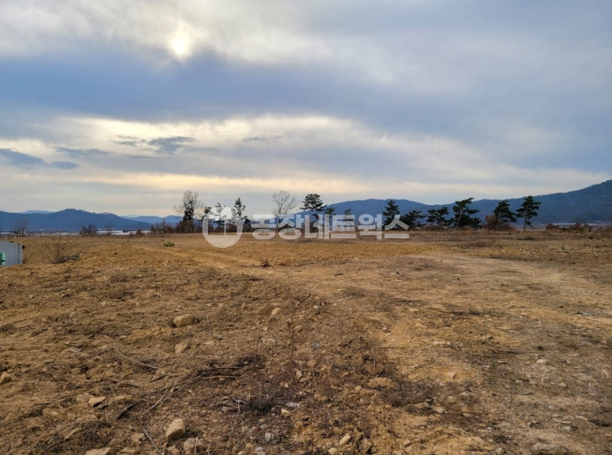 경북 구미시 해평면 낙산리 중남부권 대구 통합신공항 기대 호재 구미 2차선도로접함 물류창고 공장가능 교통편리 건축가능 부지매매 합니다. 매매 매물번호 10465 사진 1