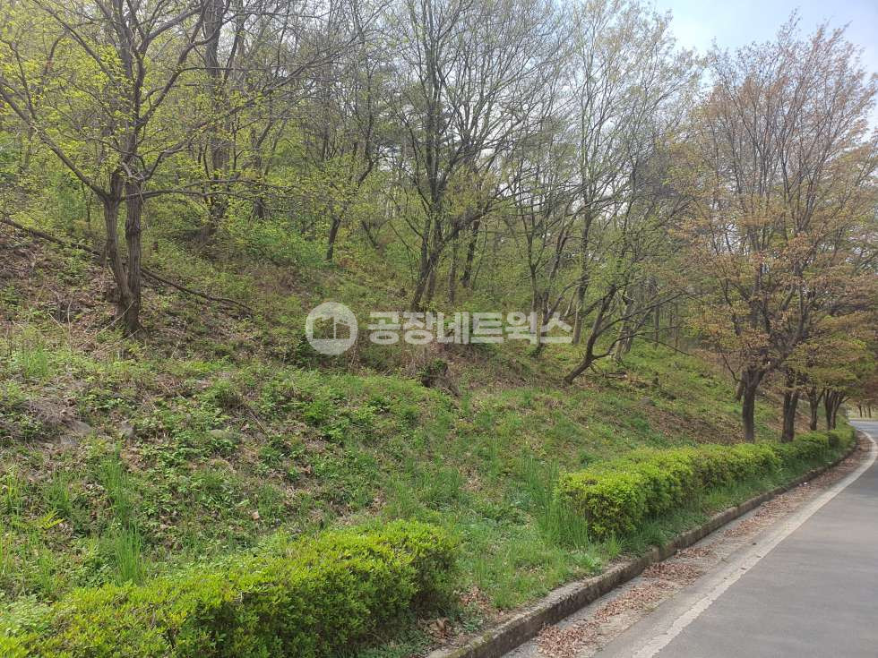 대구 달성군 유가읍 도의리 대구달성공장 창고용지 토지매매 달성군 유가읍 도의리 28667㎡(약8671 P) 매매 매물번호 10538 사진 1