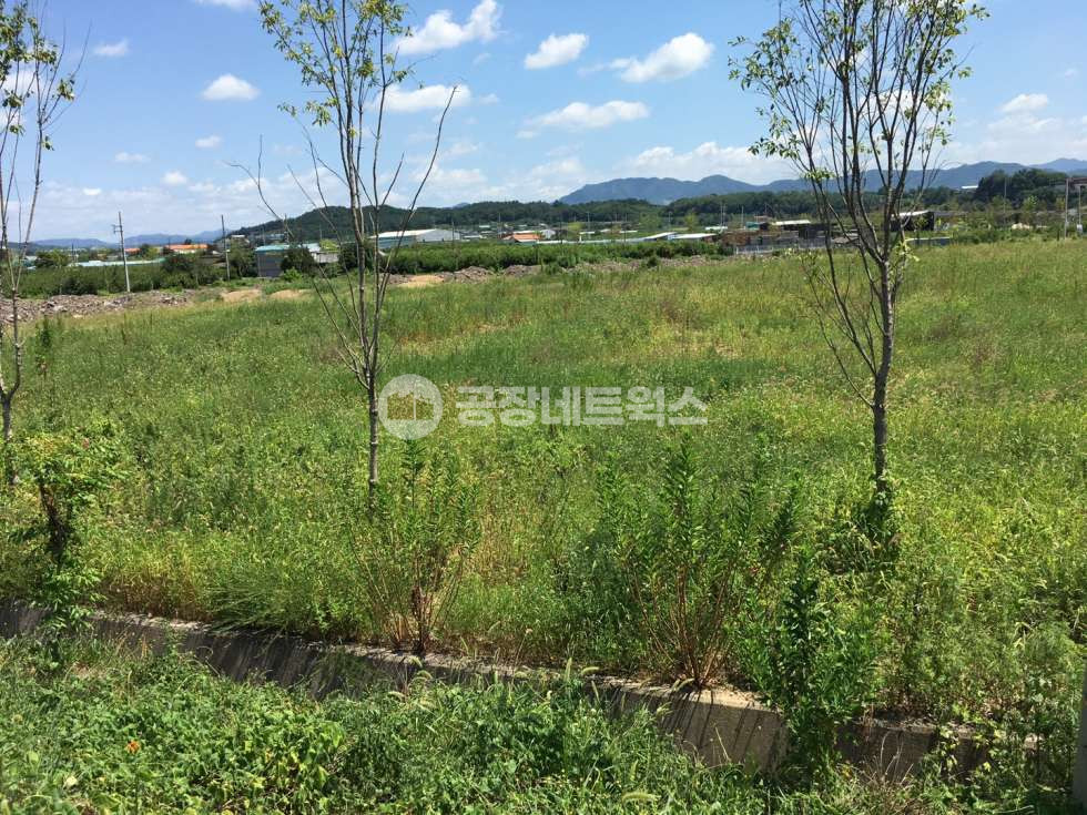 경북 영천시 금호읍 신대리 경북개발 강뷰의 아름다운 풍경 접근성을 갖춘 땅 나대지 매물 물류단지와 산업단지로서의 활용도가 높아 다양한 사업 기회를 제공 매매 매물번호 10590 사진 4